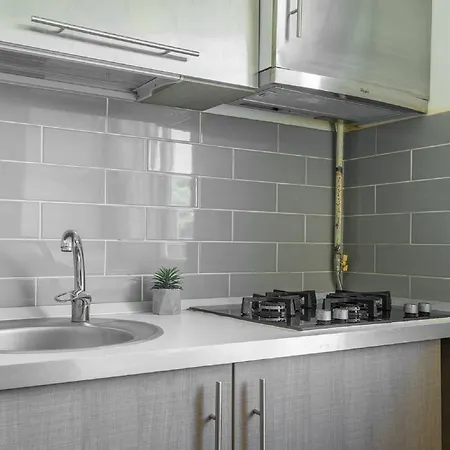 公寓 Parlament Fancy 布加勒斯特